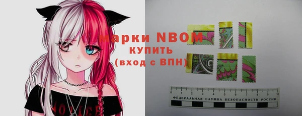 прущий лед Пестово