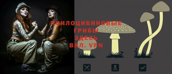 мдма Переславль-Залесский