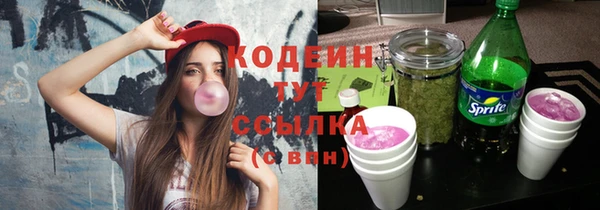 прущий лед Пестово