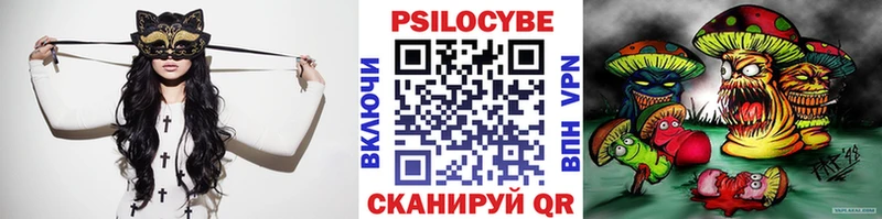 наркотики Тверь Галлюциногенные грибы Psilocybe