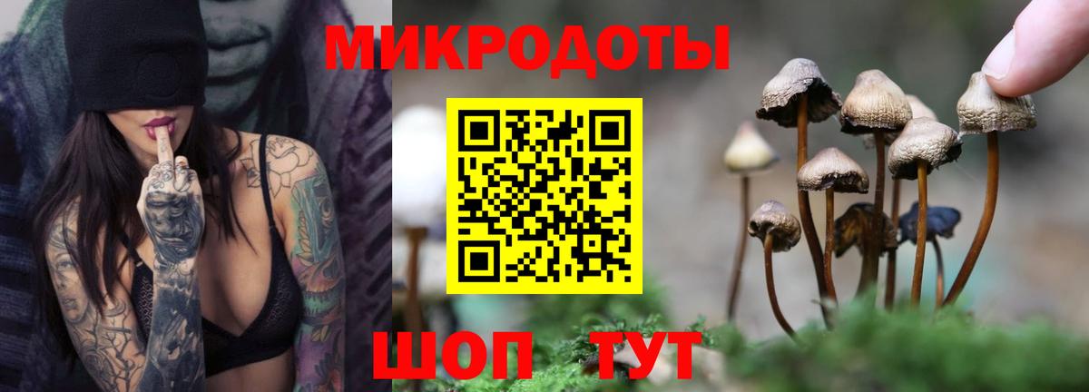 Псилоцибиновые грибы Psilocybine cubensis  Вход с VPN  где купить наркоту  Тверь 